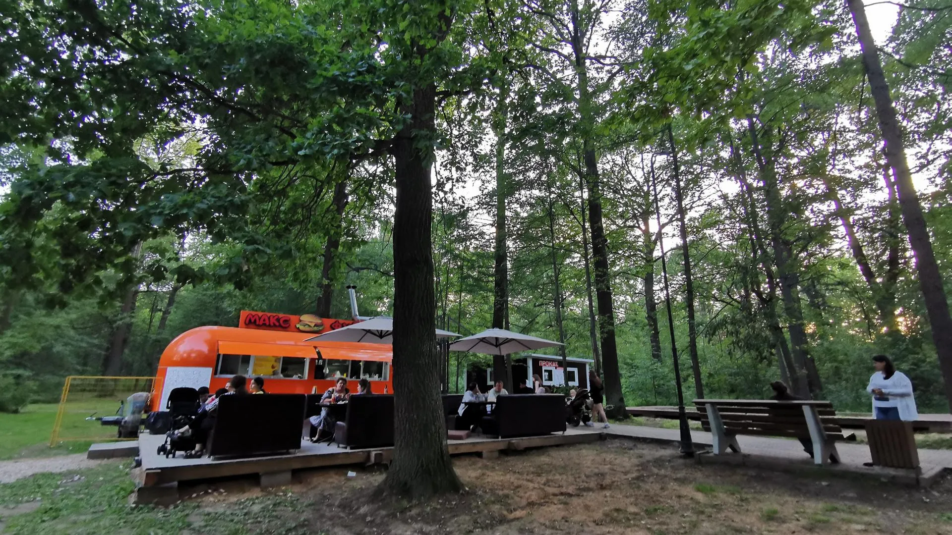 Добрынина Галина