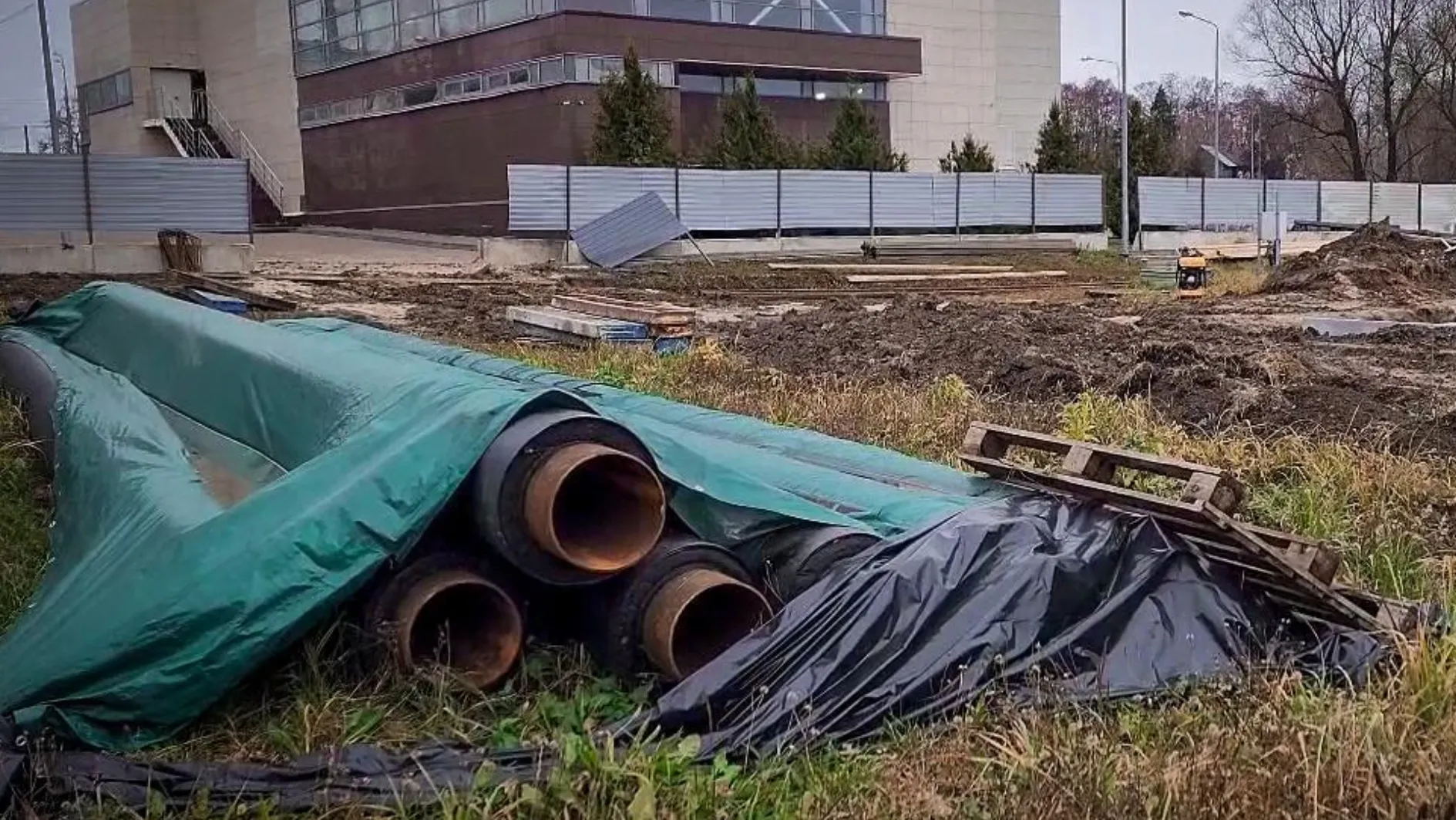 Фото: МедиаБанк Подмосковья/Ольга Антонова