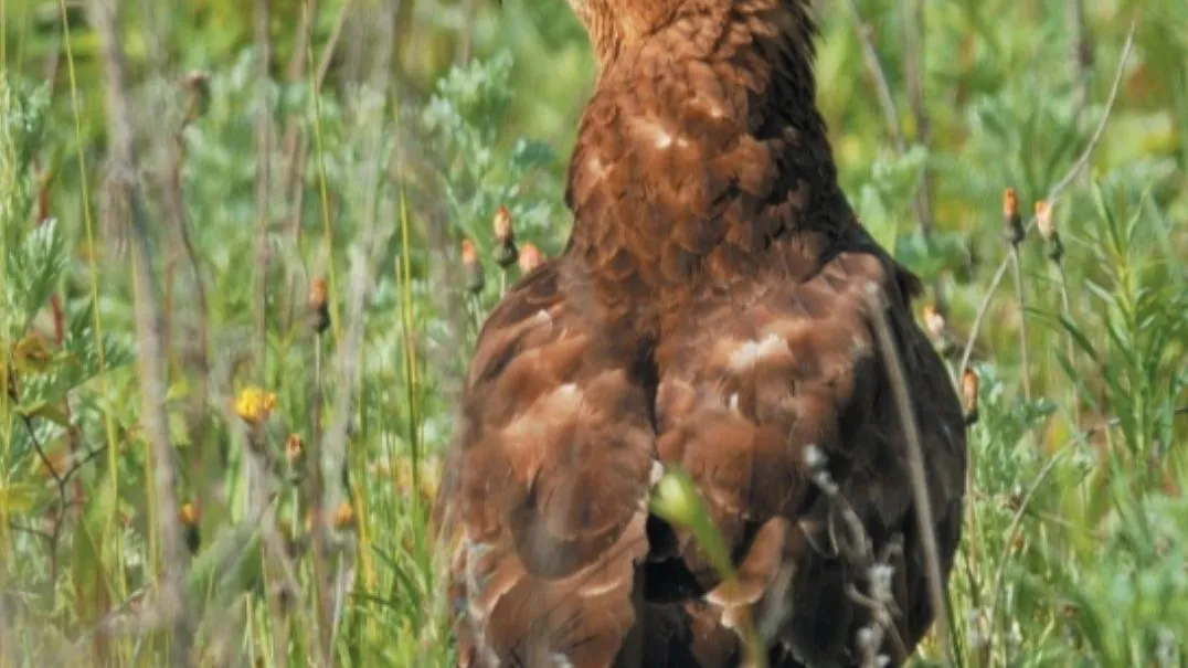 Фото: t.me/istra_gorod