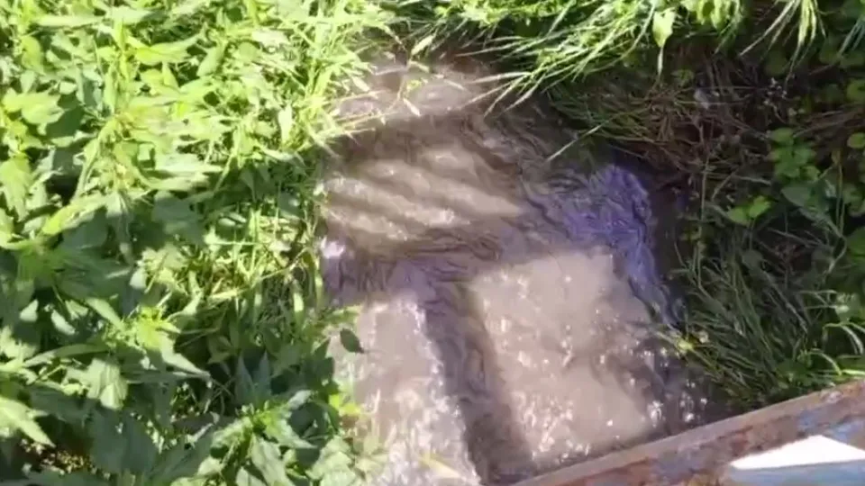 Фото: t.me/top_shelkovo