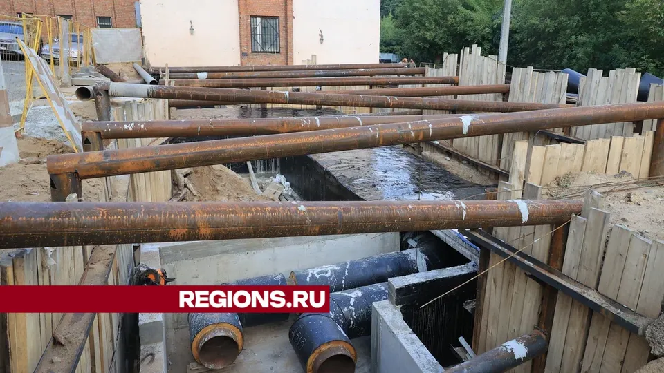 Фото: Алексей Грызлов