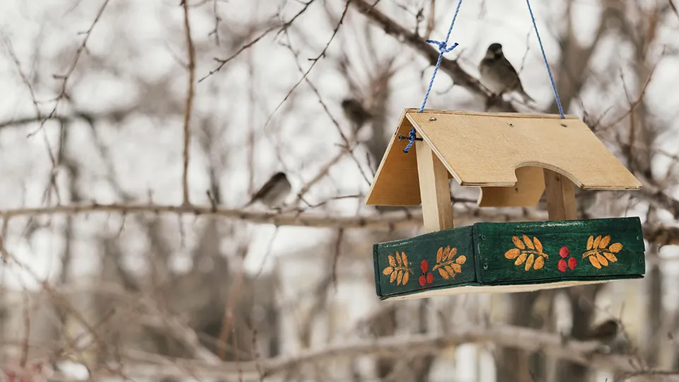 Фото: freepik.com