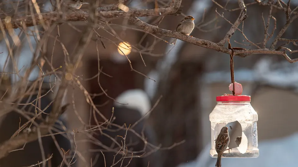 Фото: медиасток.рф