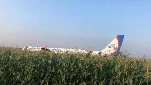 СК РФ / РИА Новости