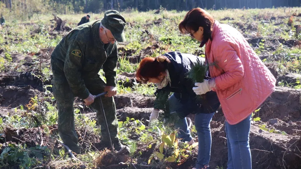Фото: REGIONS/Василий Тремасов