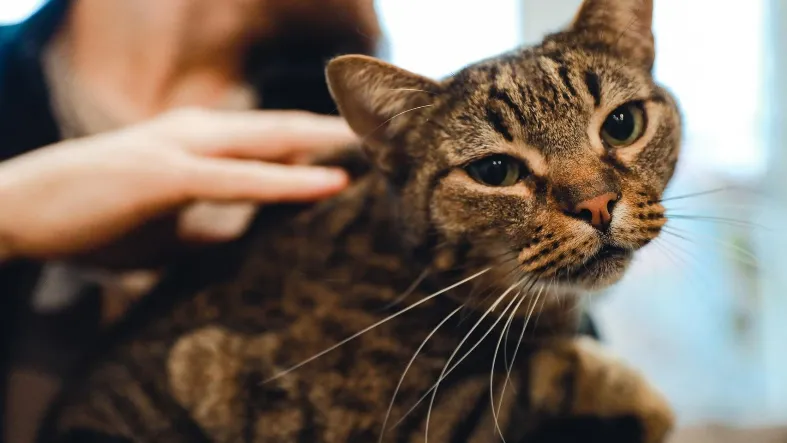 Фото: Министерство сельского хозяйства и продовольствия МО