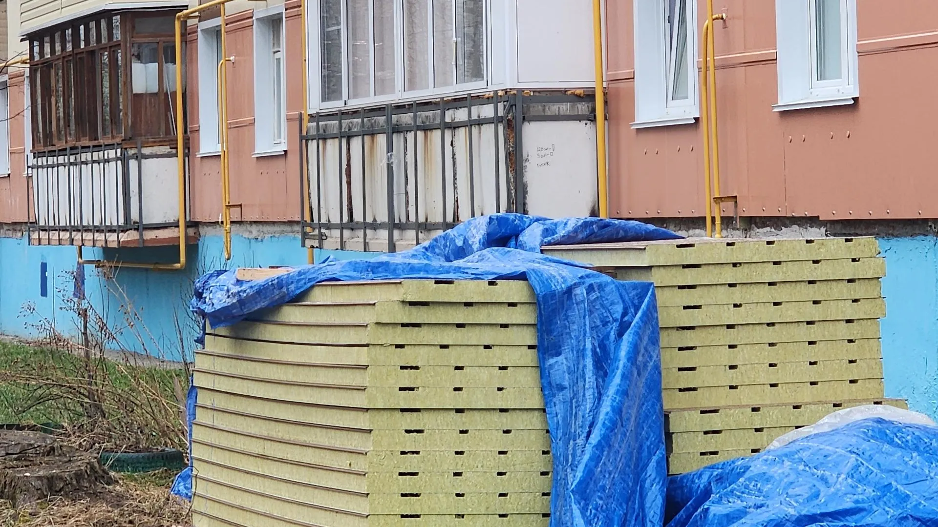 Фото: Светлана Плотникова.