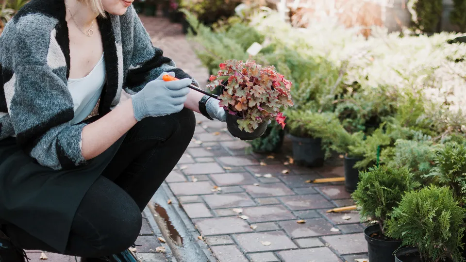 Фото: freepik.com