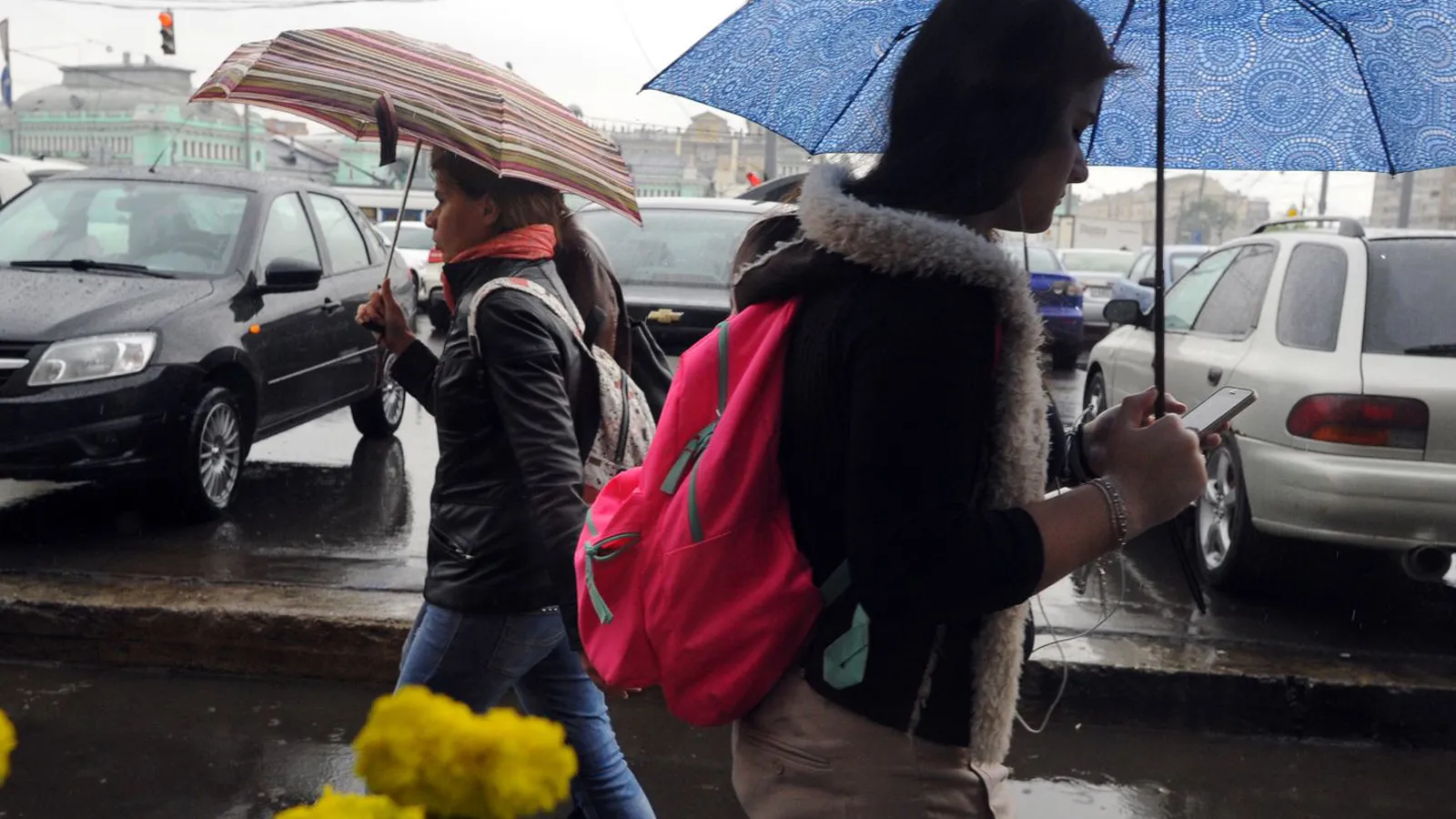 Фото: медиасток.рф