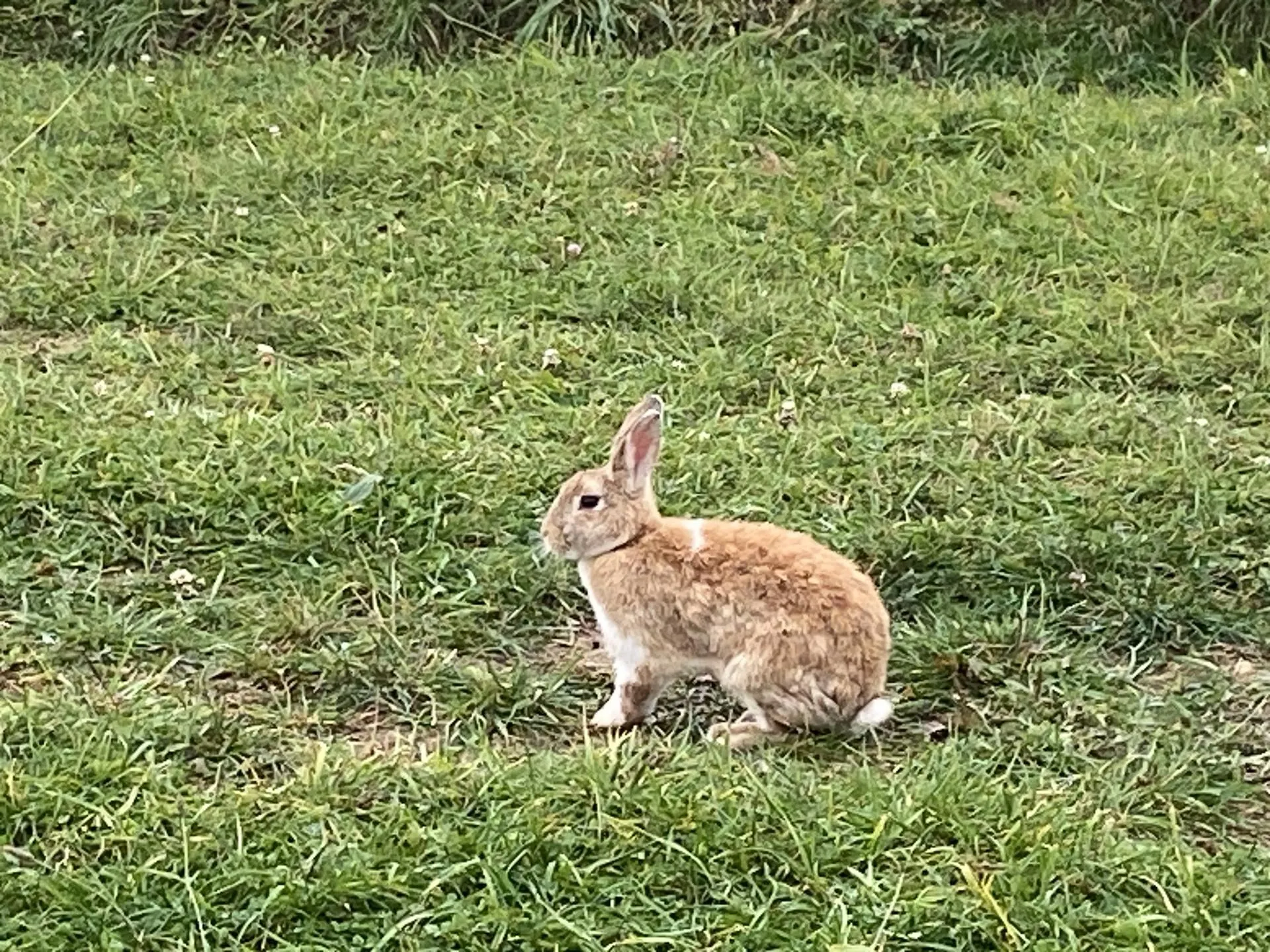 Фото: Светлана Борщева
