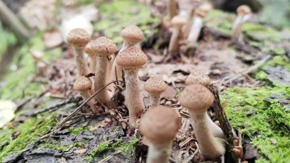 Источник: Мария Панина