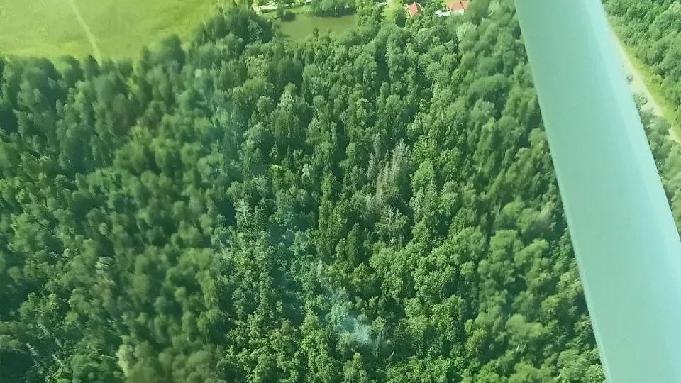 Фото: Комитет лесного хозяйства Московской области