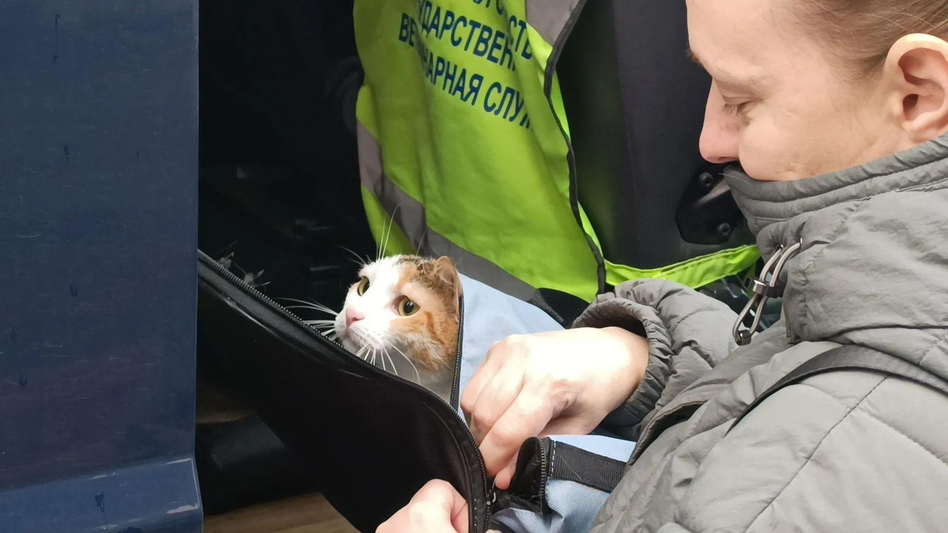 МедиаБанк Подмосковья/Екатерина Дятловская