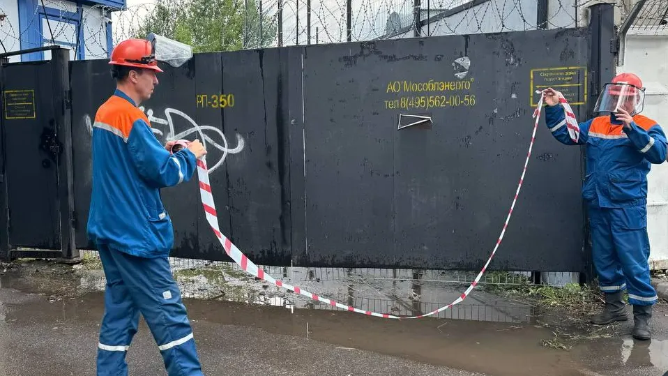 Фото: АО «Мособлэнерго»