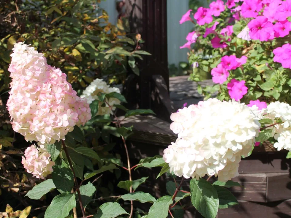 Фото: REGIONS/Илья Попов