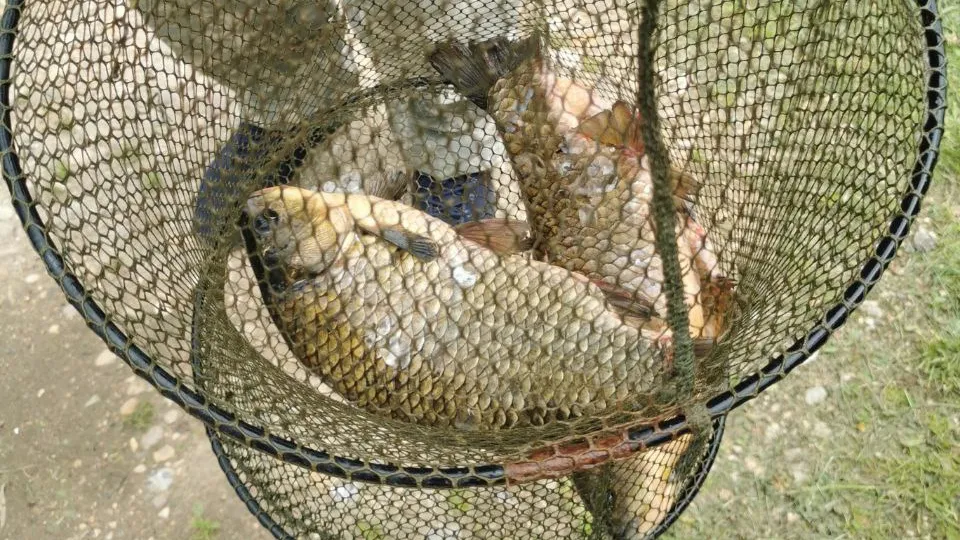 Фото: пресс-служба администрации Волоколамского м.о.