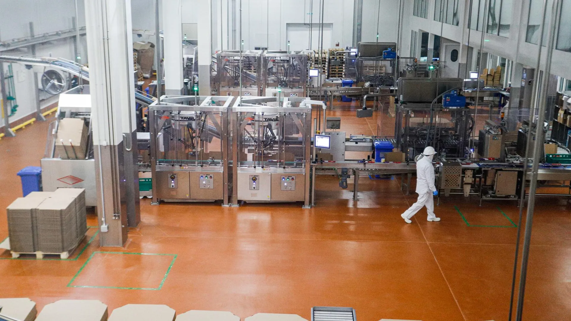 Фото: Елена Артемьева