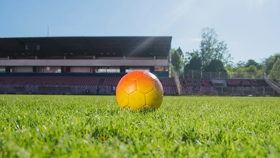 Фото: freepik.com