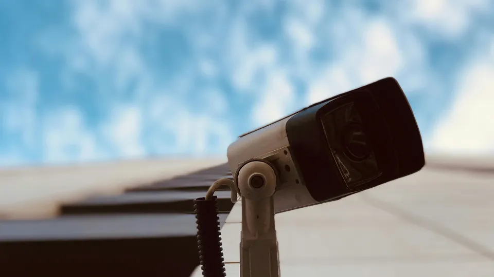 Фото: unsplash.com