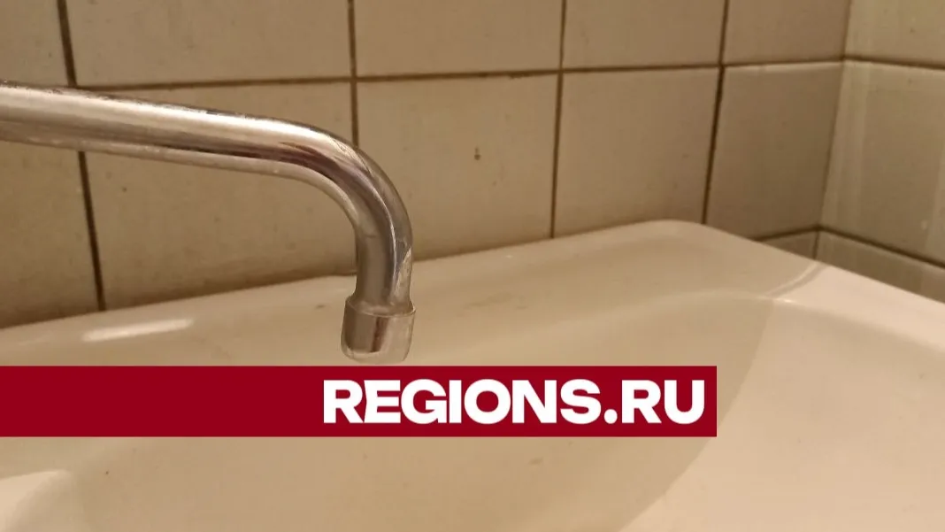 Фото: Олег Книжник