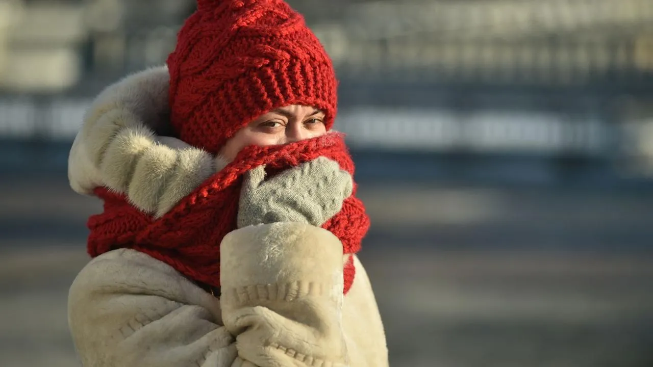 медиасток.рф