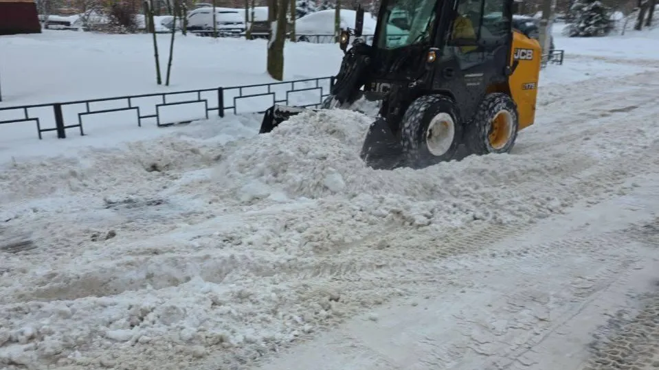 глава Домодедова Евгения Хрусталева
