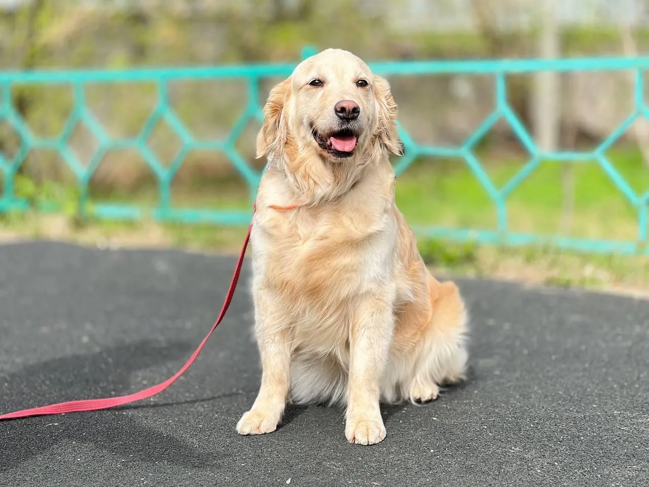 Фото: Министерство социального развития Московской области