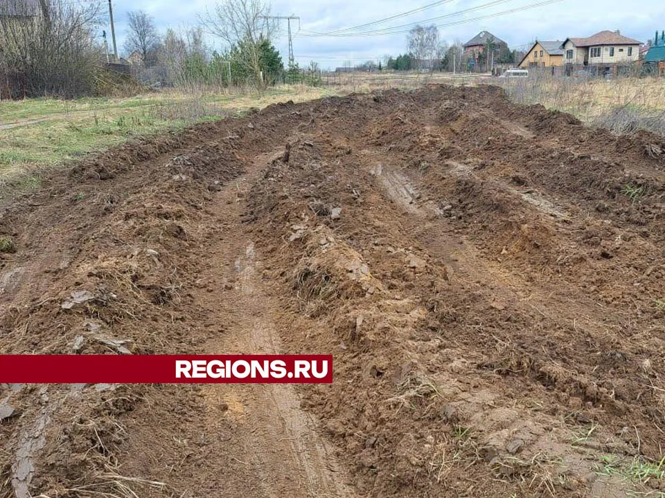 Фото: Валерия Тингаева