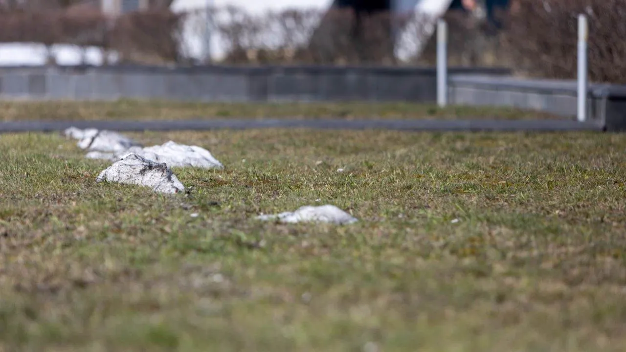 REGIONS/Роман Малышенко