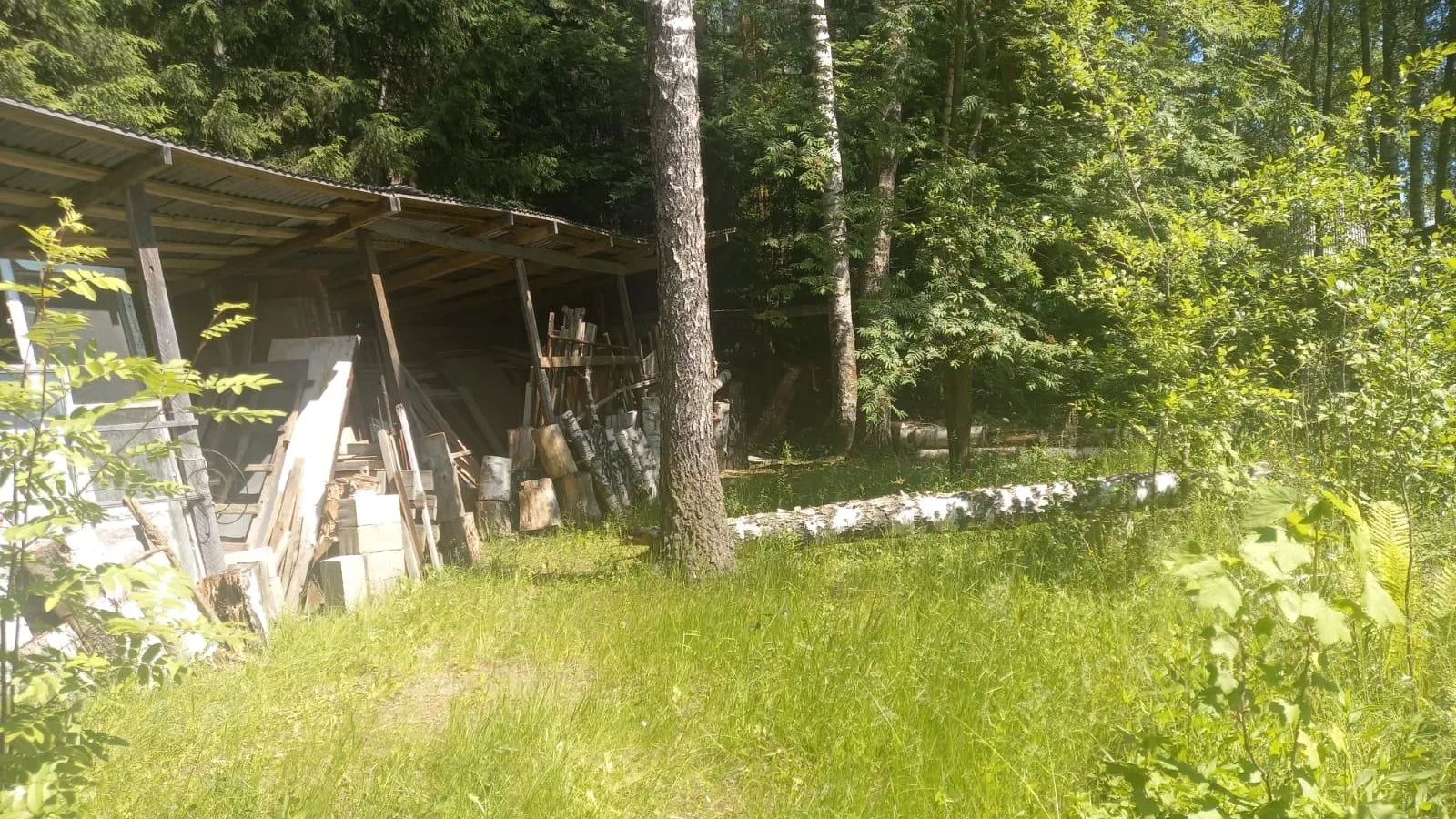 Комитет лесного хозяйства Московской области