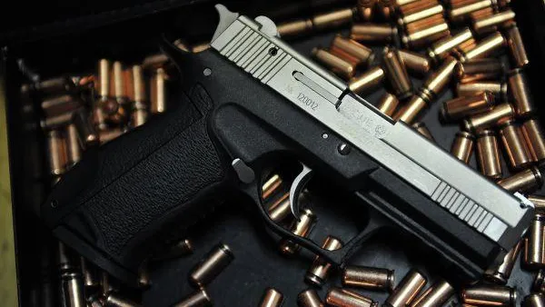 В Мордовии учитель из травматического пистолета выстрелил в директора школы и ее супруга