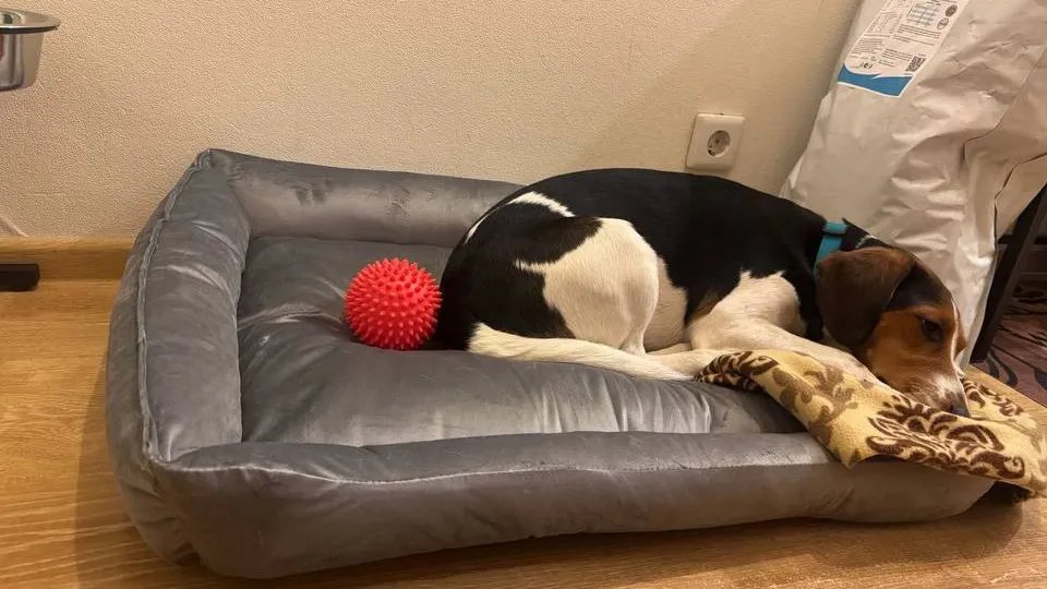 Фото: Алена Новикова