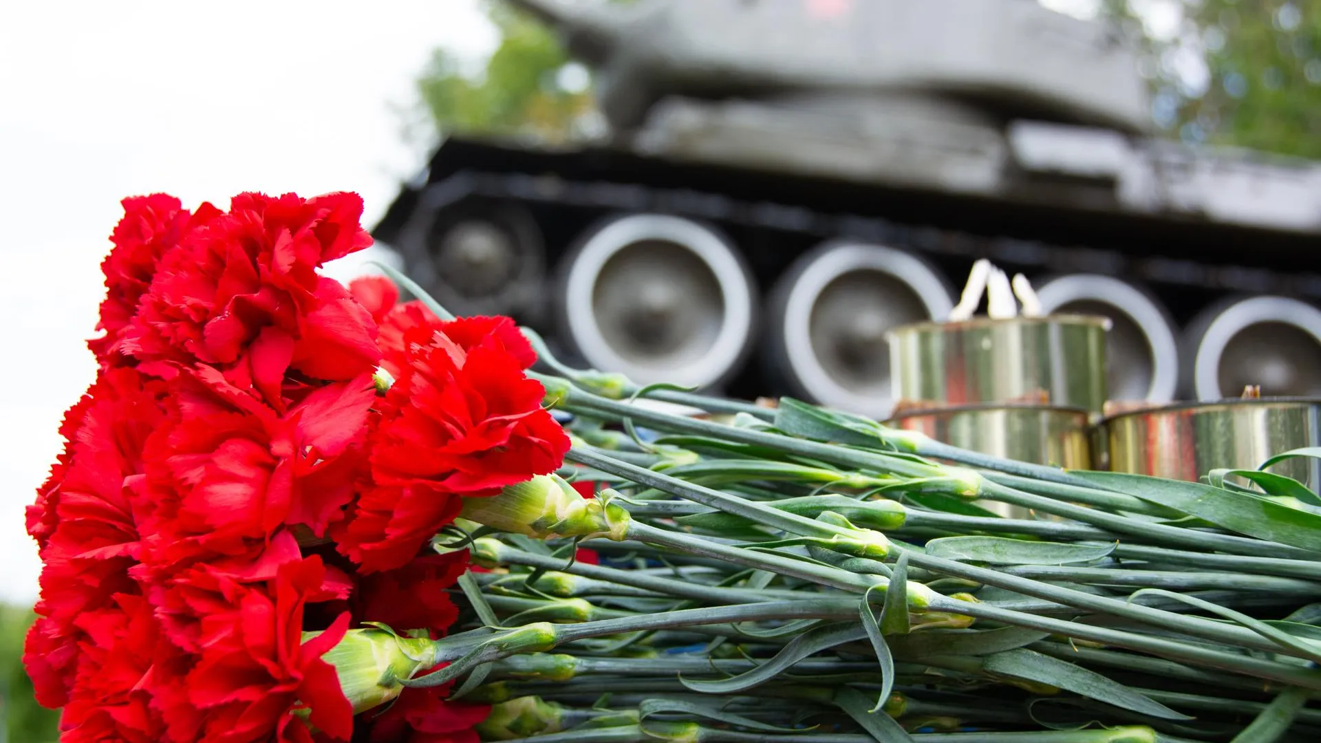 Фото: пресс-служба администрации г.о. Химки