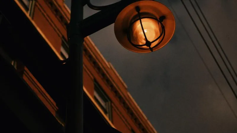 Фото: freepik.com