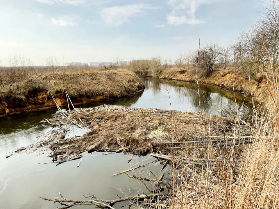 Фото: администрация городского округа Люберцы
