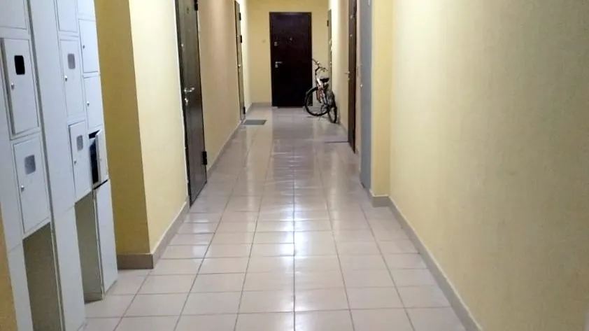 Фото: ООО «Профессионал»