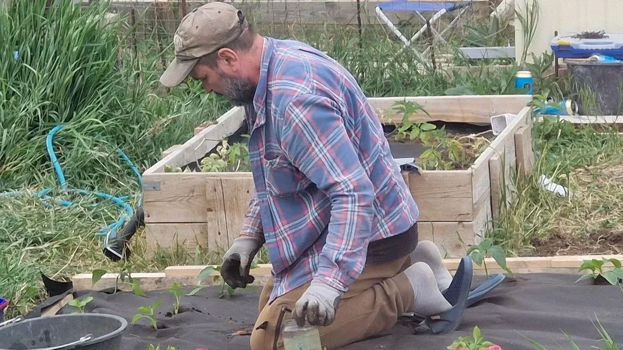 REGIONS/Наталья Надточая