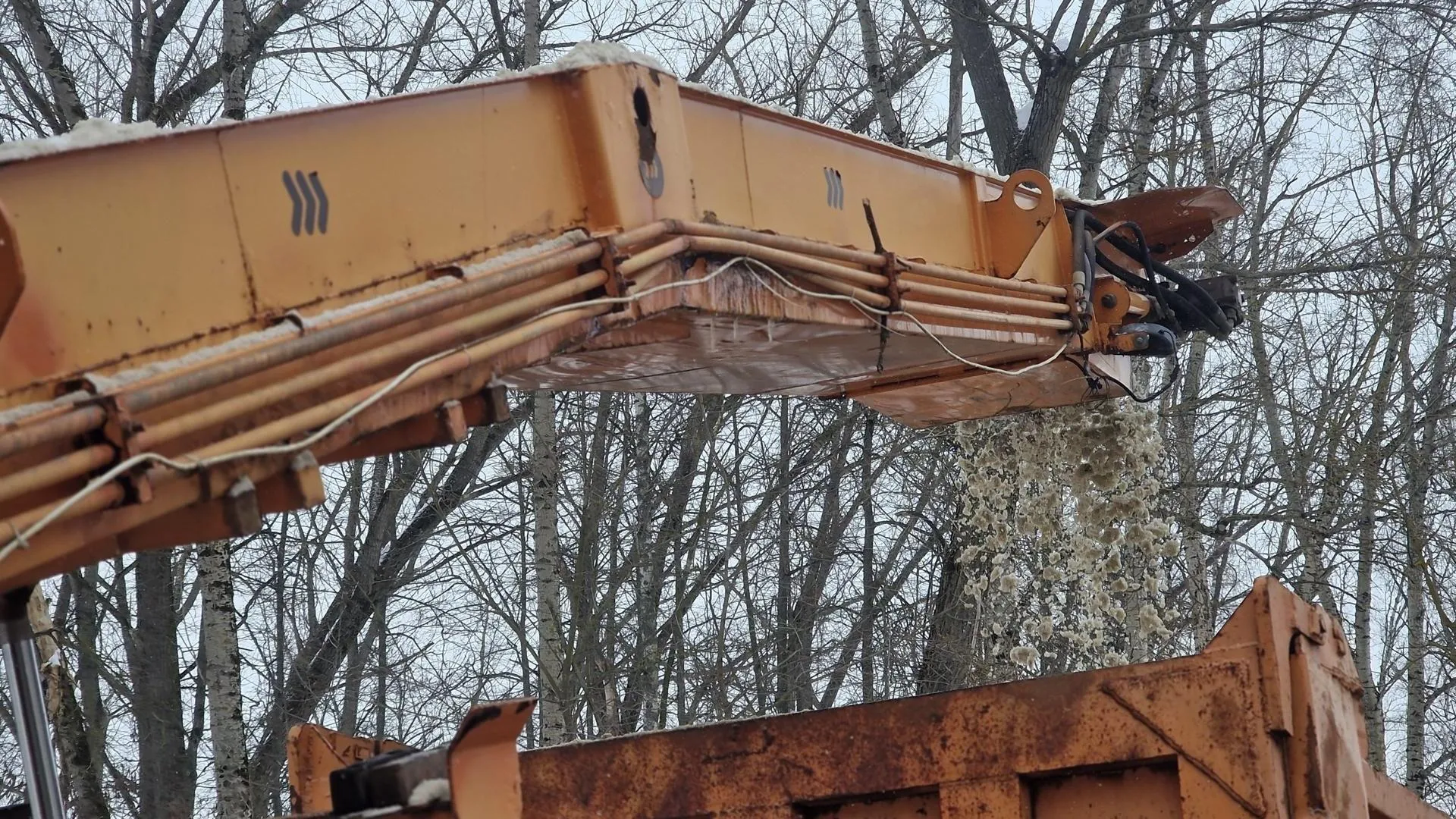 REGIONS/Ольга Шаронова