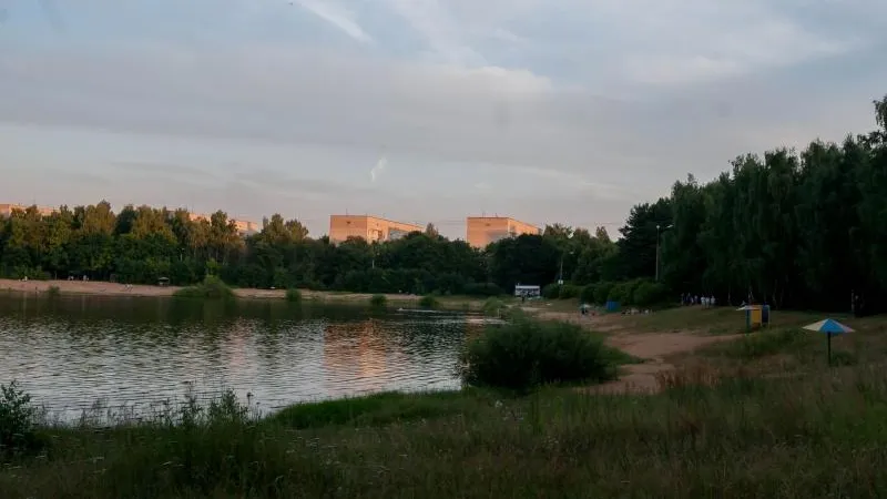 Наталья Николаева