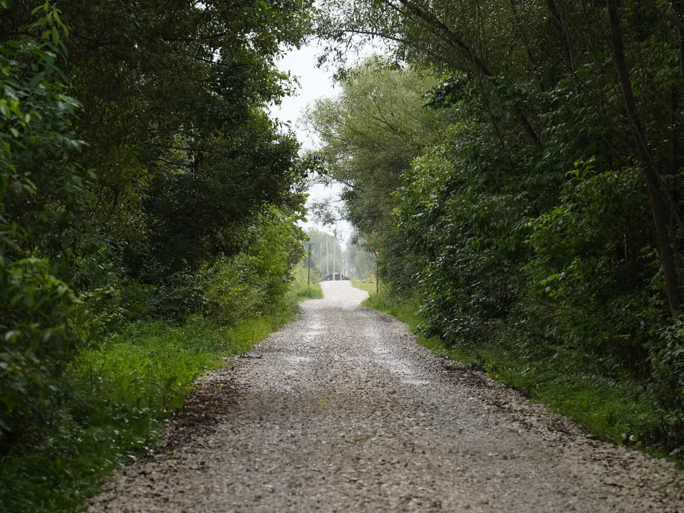 Фото: администрация м.о. Шатура