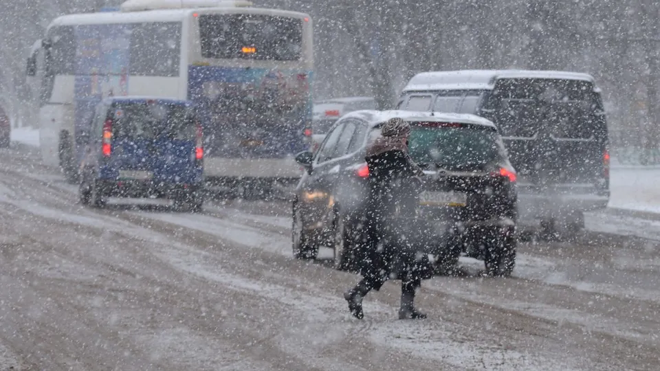 Фото: медиасток.рф