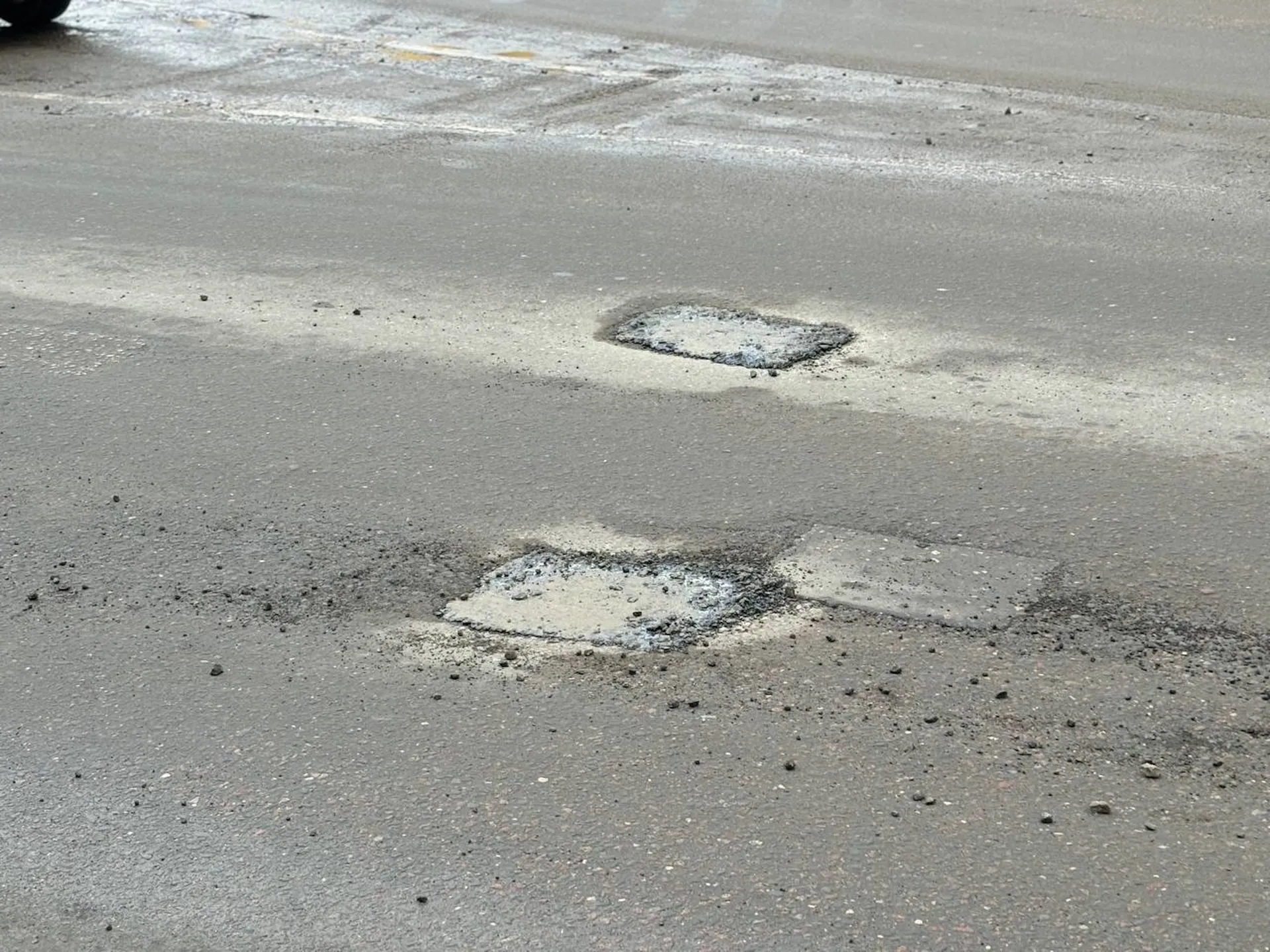 Фото: Светлана Плотникова