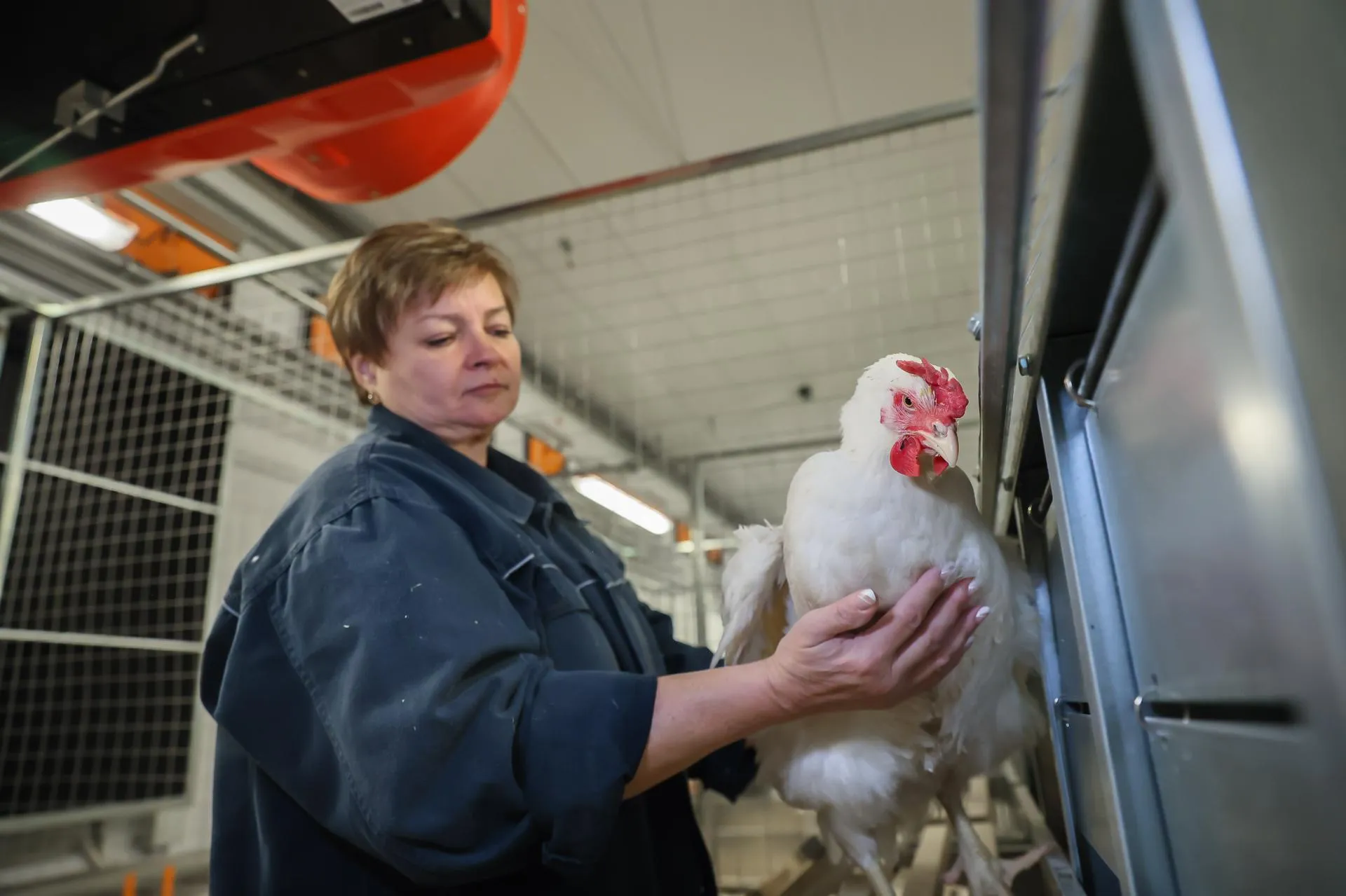 Константин Семенец