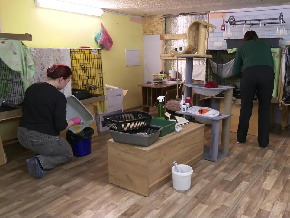 Фото: администрация г.о. Дубна