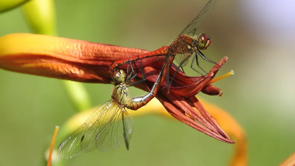 Фото: Ирина Столярова