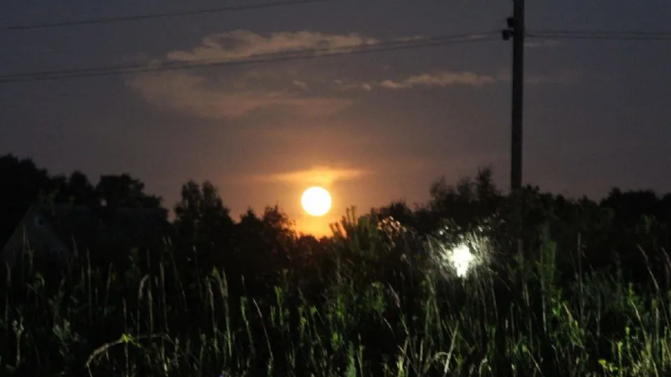 Фото: МедиаБанк Подмосковья/Яна Шаливская