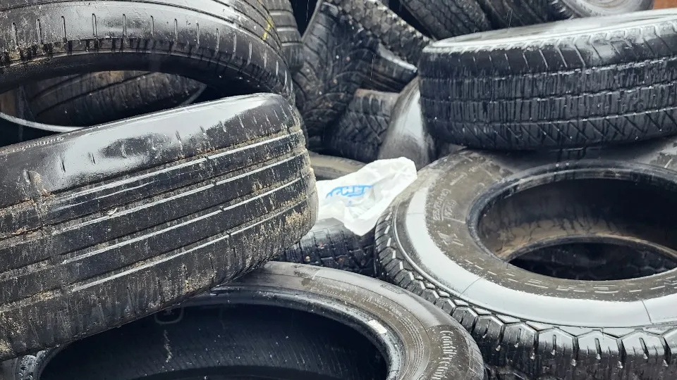 Фото: МедиаБанк Подмосковья/Ксения Пашуто