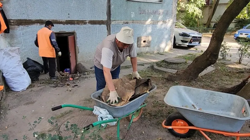 Фото: Медиабанк Подмосковья/Дмитрий Алексеенко