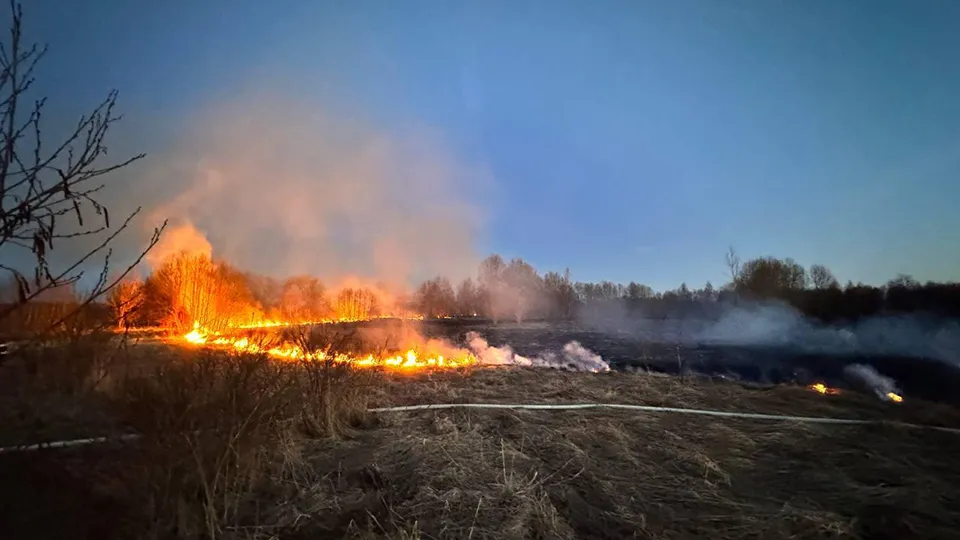Фото: МедиаБанк Подмосковья/Татьяна Рунова