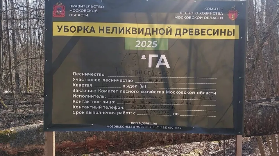 Фото: Комитет лесного хозяйства Московской области